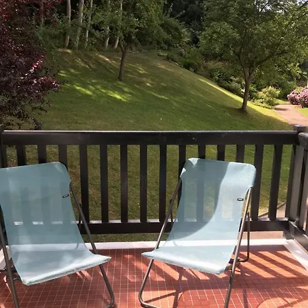 Entre Foret Et Au Calme *