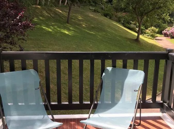 Entre Foret Et Au Calme *